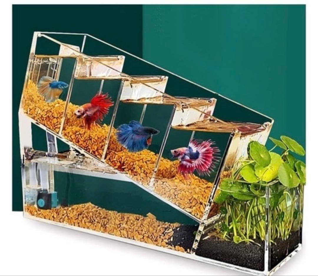 2個セット⭐︎新品完品⭐︎ベタマンション　アクリル水槽