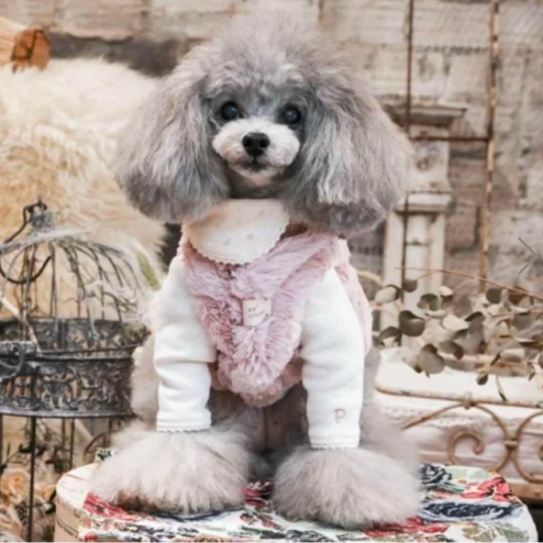 ● PP* closet ● タグファーベスト●40