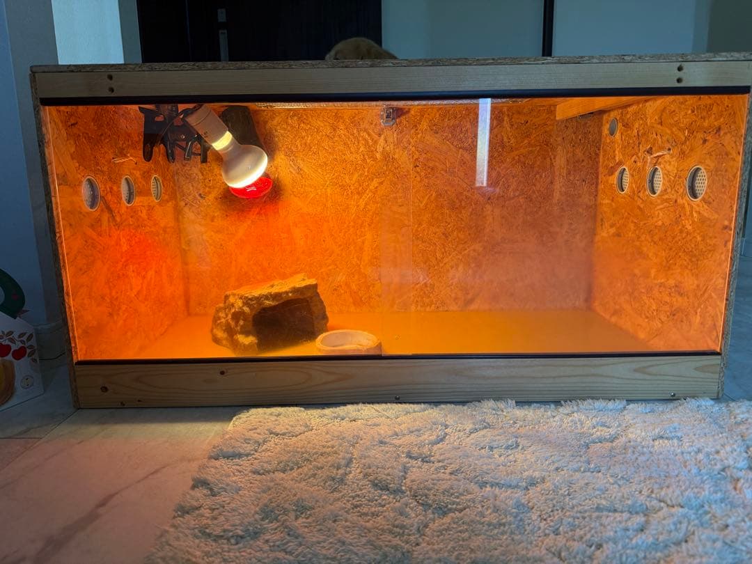 木製飼育ケージ セット ヒーター・照明 • シェルター • 餌皿付き