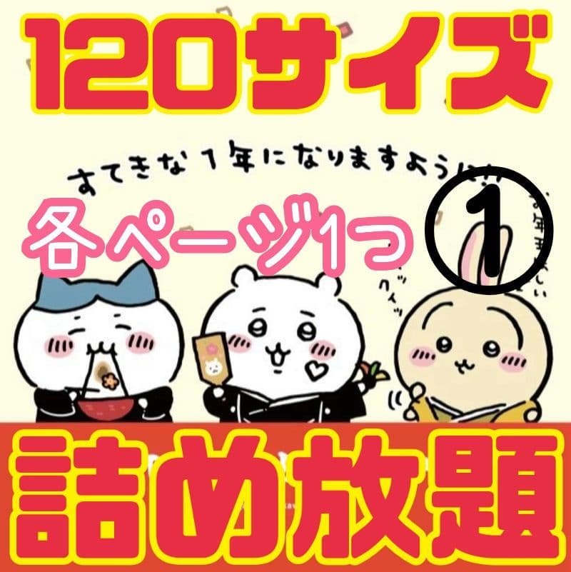 詰め放題　【120サイズ】①