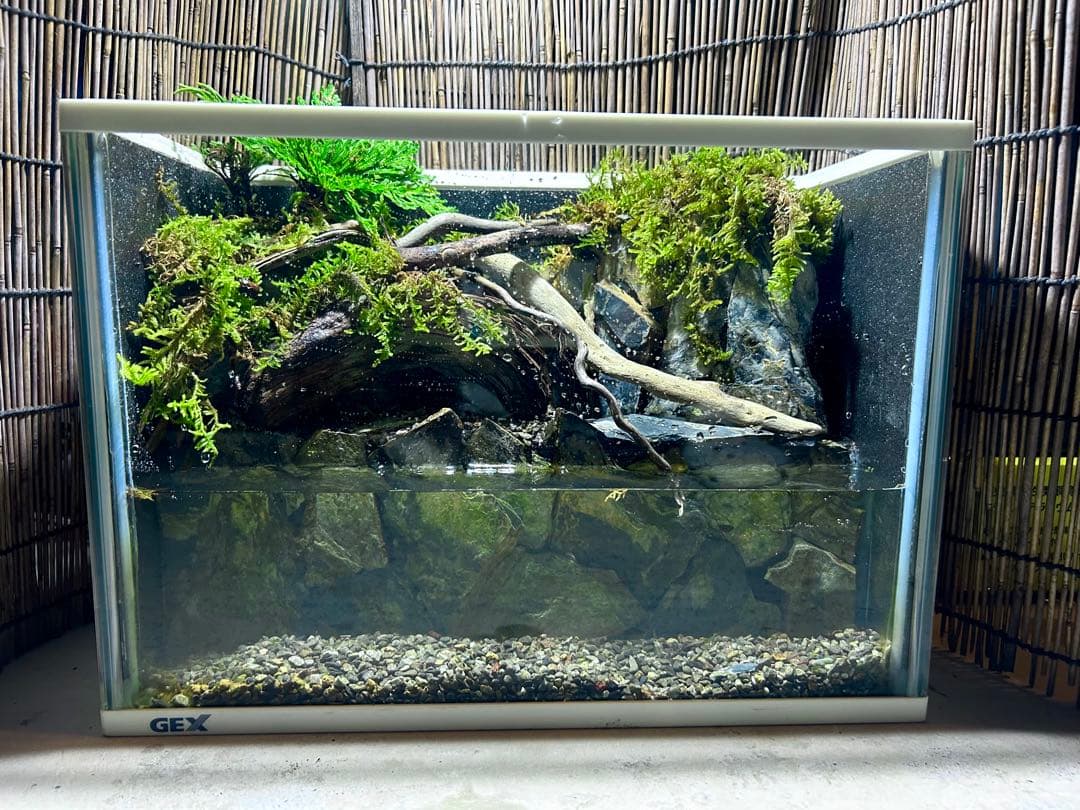 水の流れる滝テラリウム水槽　苔テラリウム